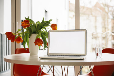 Laptop-Bildschirm auf einem weißen runden Tisch mit roten Tulpen und Stühlen - MFF001388