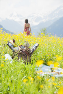 Picknickkorb auf Almwiese - HHF005035