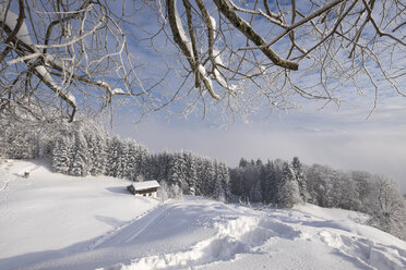 Germany, Bavaria, Upper Bavaria, Mangfall Mountains, Hocheck near Oberaudorf, Viewpoint - SIEF006372