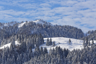 Germany, Bavaria, Upper Bavaria, Mangfall Mountains, - SIEF006374