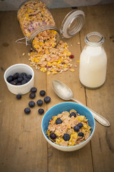 Glutenfree muesli with blueberries - LVF002597