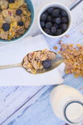 Glutenfree muesli with blueberries - LVF002600