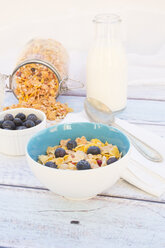 Glutenfree muesli with blueberries - LVF002603