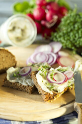 Lard bread garnished with, red radish, onion rings and cress - MAEF009386