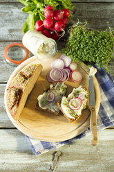 Lard bread garnished with, red radish, onion rings and cress - MAEF009388