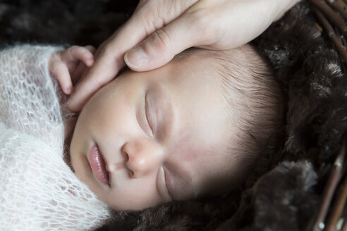 Porträt eines schlafenden Neugeborenen - JTLF000037