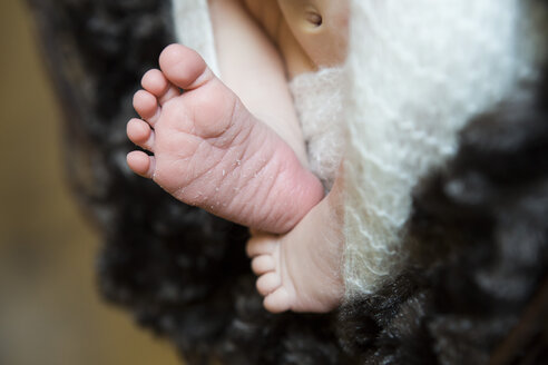 Füße eines Neugeborenen - JTLF000029