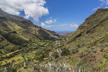 Spain, Gran Canaria, Valle de Agaete, Agaete - MABF000302