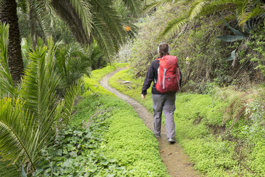 Spain, Canary Islands, La Gomera, Vallehermoso, hiker near Epina - SIEF006379