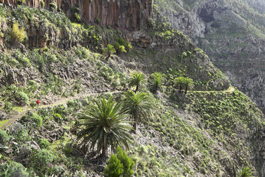 Spanien, Kanarische Inseln, La Gomera, Valle Gran Rey, Lomo del Carreton bei Arure, Wanderer - SIEF006390