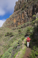 Spain, Canary Islands, La Gomera, Valle Gran Rey, trail and hiker in Lomo del Carreton near Arure - SIEF006392