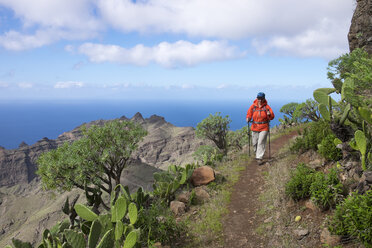 Spain, Canary Islands, La Gomera, Valle Gran Rey, trail and hiker in Lomo del Carreton near Arure - SIEF006393