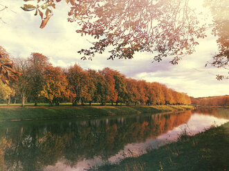 Germany, Decksteiner Weiher, chestnut trees in autumn - GWF003600