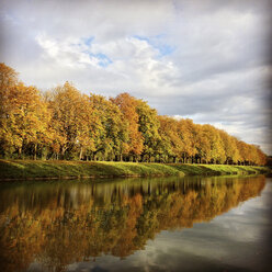 Deutschland, Decksteiner Weiher, Kastanienbäume im Herbst - GWF003601
