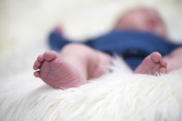 Feet of newborn baby boy - ROMF000041