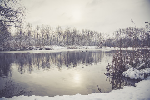 Deutschland, Bayern, Ergolding, Teich im Winter, lizenzfreies Stockfoto