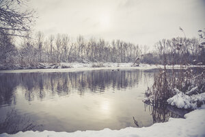 Deutschland, Bayern, Ergolding, Teich im Winter - SARF001265