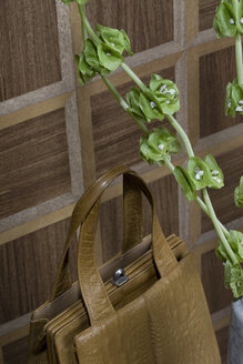 Old-fashioned brown handbag and twigs of Bells of Ireland in front of wooden wall cladding - PATF000024