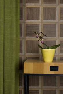 Sideboard with potted orchid and curtain in front of wooden wall cladding - PATF000021