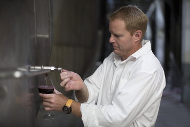 Winemaker testing wine from vats - ZEF004225