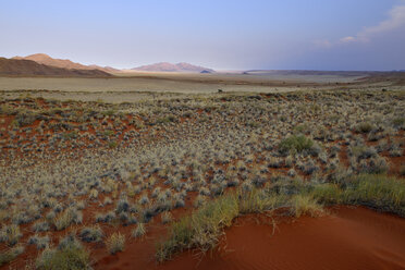 Namibia, Namib-Wüste, Landschaft im NamibRand-Naturreservat - ES001521