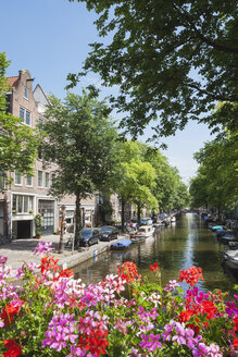 Niederlande, Grafschaft Holland, Amsterdam, Egelantier's Kanal, blühende Geranie - GW003739