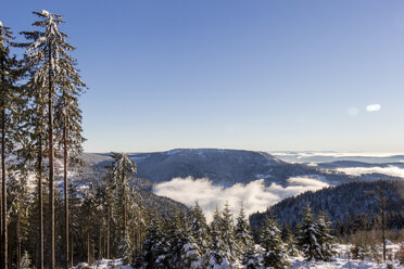 Deutschland, Baden Württemberg, Mummelsee im Winter - JUNF000169