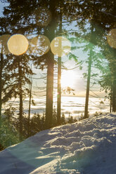 Germany, Baden-Wuerttemberg, Black forest in winter - JUNF000178