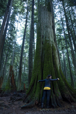 Canada, Vancouver, woman hugging tree in forest stock photo
