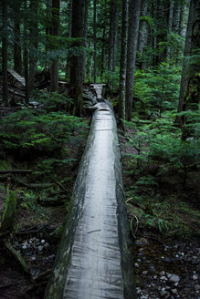 Canada, North Vancouver, Forrest trail in North Vancouver - NG000184
