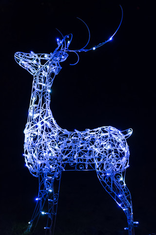 Canada, Vancouver, Christmas illuminations, Blue reindeer stock photo