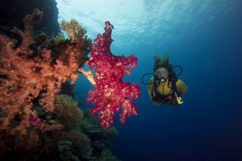 Pazifischer Ozean, Palau, Taucher im Korallenriff mit Baumkorallen - JWAF000213