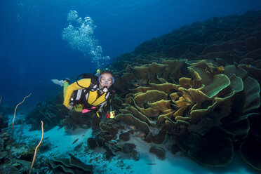 Pazifischer Ozean, Palau, Taucher im Korallenriff mit Turbinaria mesenterina-Koralle - JWAF000215