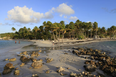 Karibik, Guadeloupe, Grande-Terre, Strand bei Sainte-Anne - WLF000004
