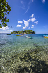 Caribbean, Grenadines, St. Vincent, near Arnos Vale - THAF001218