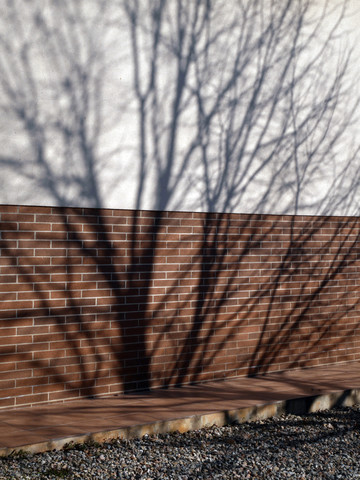 Spanien, Katalonien, Schatten eines Baumes auf einer Hausfassade, lizenzfreies Stockfoto