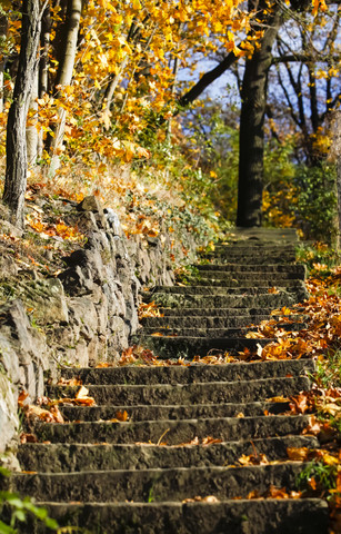 Deutschland, steinige Treppe im Herbst, lizenzfreies Stockfoto