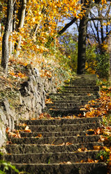 Deutschland, steinige Treppe im Herbst - JTF000622