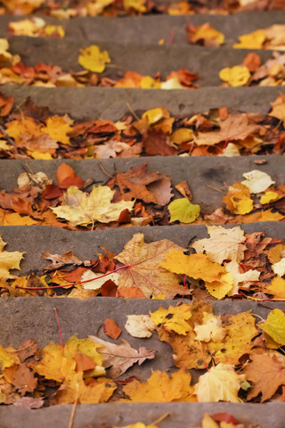 Deutschland, Treppe mit Herbstlaub, lizenzfreies Stockfoto