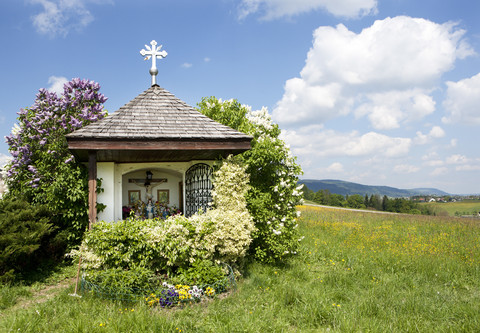 Österreich, Salzkammergut, Bildstock, lizenzfreies Stockfoto