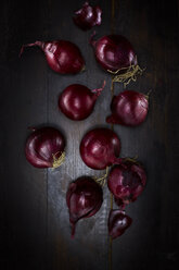 Red onions on dark ground - KSWF001347