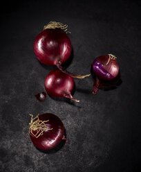 Four red onions on dark ground - KSWF001350