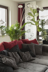 Wohnzimmer mit grauer Couch - SHKF000228