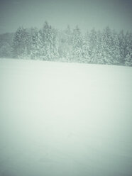 Deutschland, Schwarzwald, Winterlandschaft bei stürmischem Wetter - KRP001262