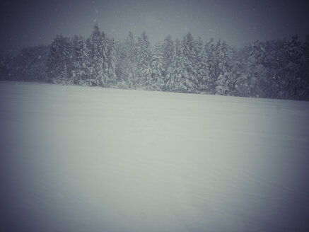 Deutschland, Schwarzwald, Winterlandschaft bei stürmischem Wetter - KRP001263