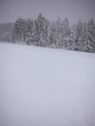 Deutschland, Schwarzwald, Winterlandschaft, Schneesturm - KRP001186