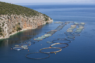 Griechenland, Sofiko, Aquakultur im Mittelmeer - WWF003467