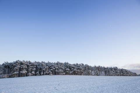Deutschland, Brandenburg, Feldlandschaft mit erstem Schnee bedeckt, lizenzfreies Stockfoto