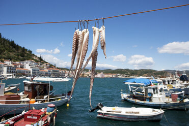 Griechenland, Gythio, Tintenfisch zum Trocknen im Hafen aufgehängt - WWF003502