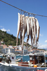 Griechenland, Gythio, Tintenfisch zum Trocknen im Hafen aufgehängt - WWF003519